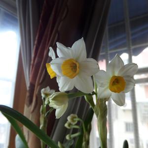 为你唱首歌-COVER（Cover 尧十三）