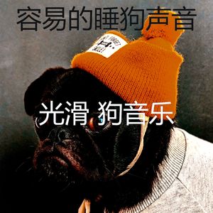 抚慰的睡狗回忆