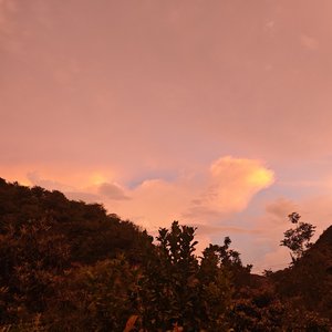 追随夕阳而去