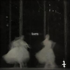 torn