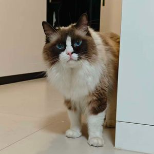 科创的伦理底线