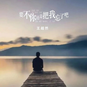 要不你还是把我忘了吧