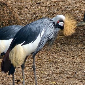 你一眨眼，就翻阅了我心里的春夏秋冬