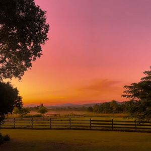 ¿Qué hago con todo esto que siento?