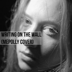 Writing On The Wall (cover)