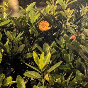 幻境(Prod NEONMUSIC)