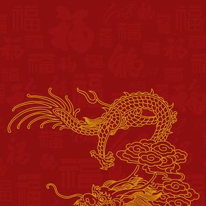 笑颜绽放的奇迹