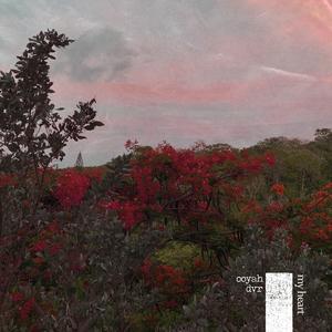 My Heart (feat. Dvr)