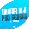 DJ CRIVELO - Chama ela pro Serrão