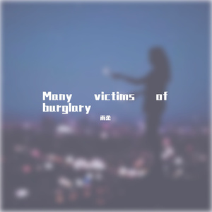 Many victims of burglary
