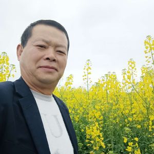 不作悲畏的爱