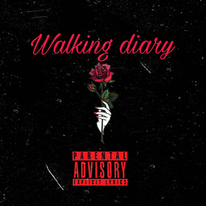 Walking diary