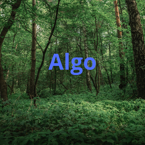 Algo