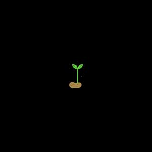 Kartoffelsong
