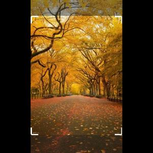 我想找个女朋友