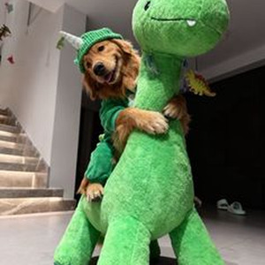 Hell and Back (sped up)