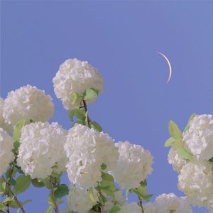 我为你付出那么多