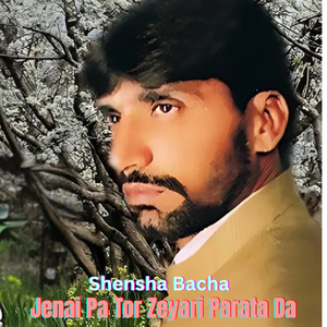 Jenai Pa Tor Zeyari Parata Da