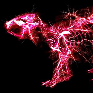 名前を呼ぶよ (Acoustic ver.)