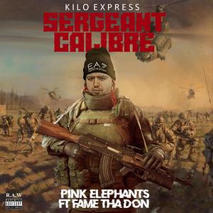Pink Elephants (feat. Fame Tha Don)