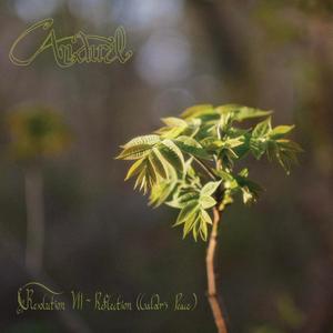 Resolution VII - Reflection (Galdr's Peace)