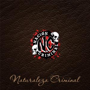 Atacado por el Sistema