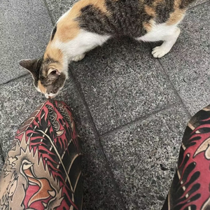 任夏-一步之遥（Remix）