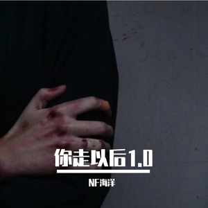 你走以后1.0