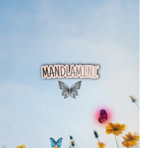 Mandlamini