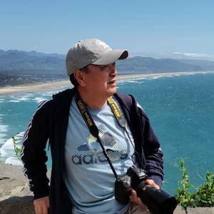 走着走着花就开了