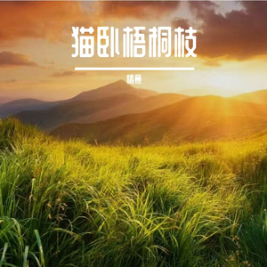 猫卧梧桐枝