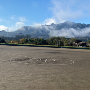 メジャーはヴィーヴォ