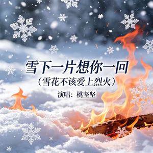 雪下一片想你一回（雪花不该爱上烈火）