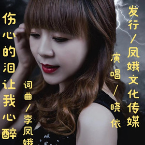 伤心的泪让我心醉 (伴奏)