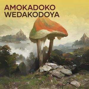 Amokadoko Wedakodoya (Acoustic)