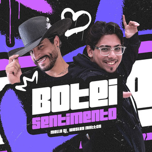 Botei Sentimento