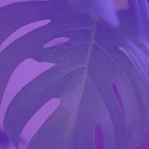 温和星期日早上梦想
