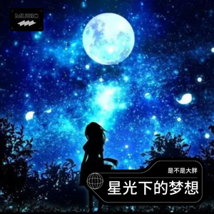 星光下的梦想
