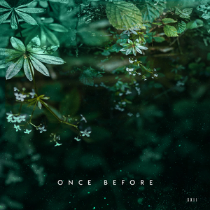 Once Before (Jayden Klight Remix)