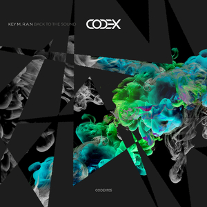 Back to the Sound (Original Mix)