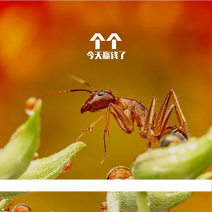 有一天我们都会慢慢变老