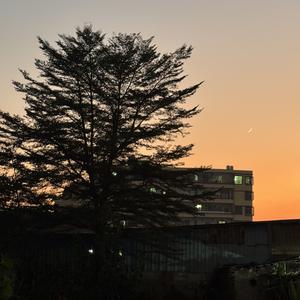 寂静之海的暗流