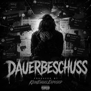 Dauerbeschuss (Radio Edit)
