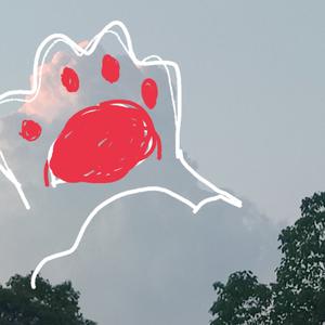 像风吹过八千里