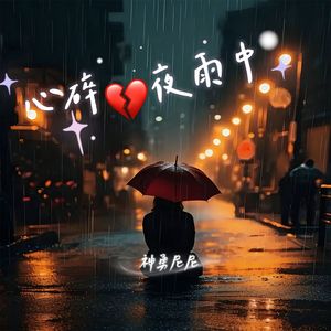 心碎夜雨中