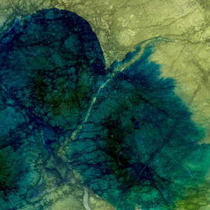 Between the Sea and the Sky