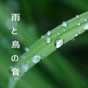 雨水