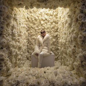 White Roses ( COVER 2026)