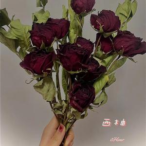 西柚（prod by BALCKFAT洪汝超）