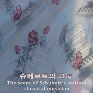 슈베르트의 고독